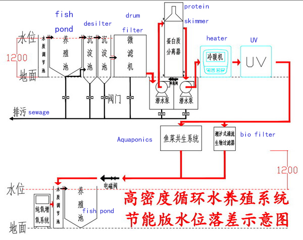 Recirculating aquaculture system